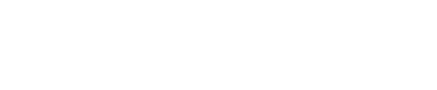 AVEO | Global AI and Software Solution Partner